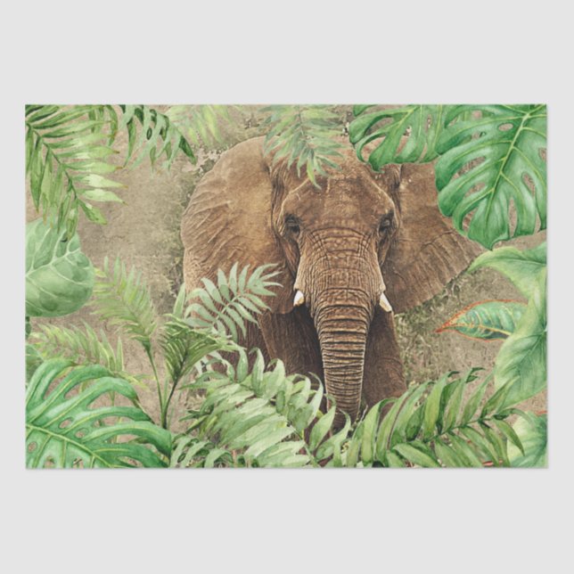 Papel De Seda Palm tropical elefante (Anverso)