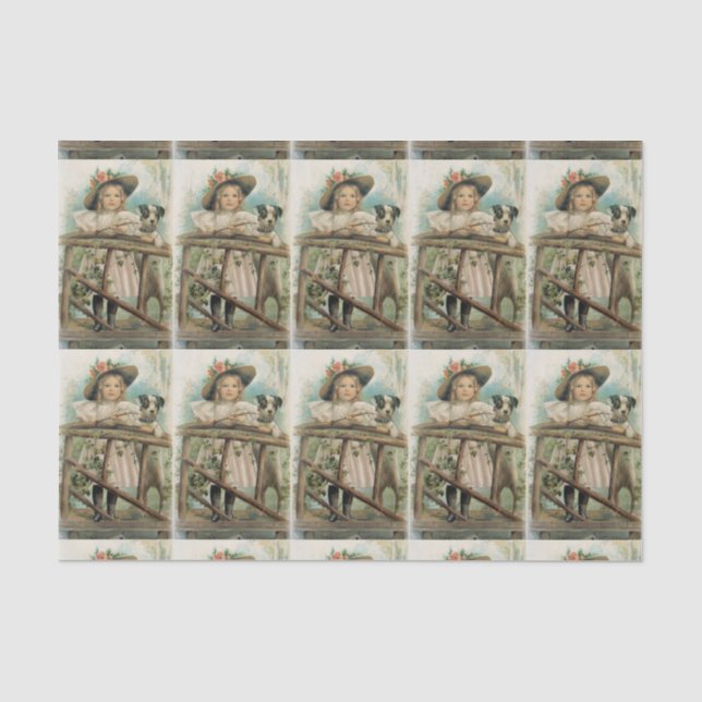 Papel De Seda Pals de la pesca (Anverso)