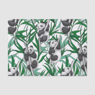 Papel De Seda Panda cubs on