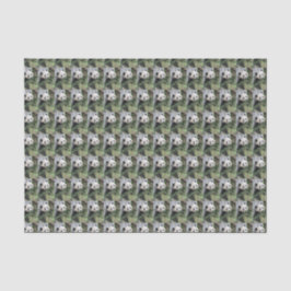 Papel De Seda Panda gigante verde negro y blanco