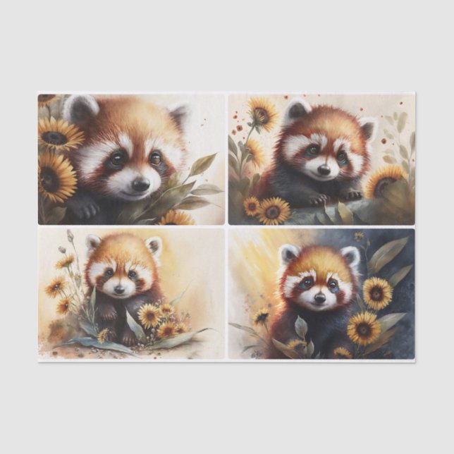 Papel De Seda Pandas rojos (Anverso)