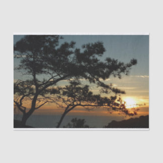 Papel De Seda Panorama de Torrey Pine Sunset