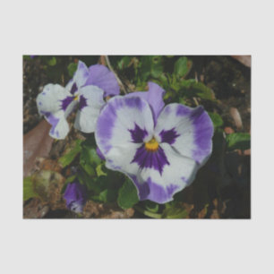 Papel De Seda Pansias moradas y blancas con flores coloridas