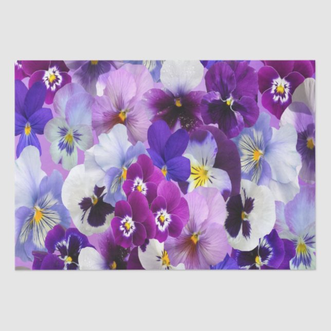 Papel De Seda Pansy floral blanco azul violeta Cumpleaños  (Anverso)