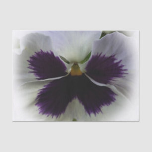 Papel De Seda Pañuelo morado y blanco