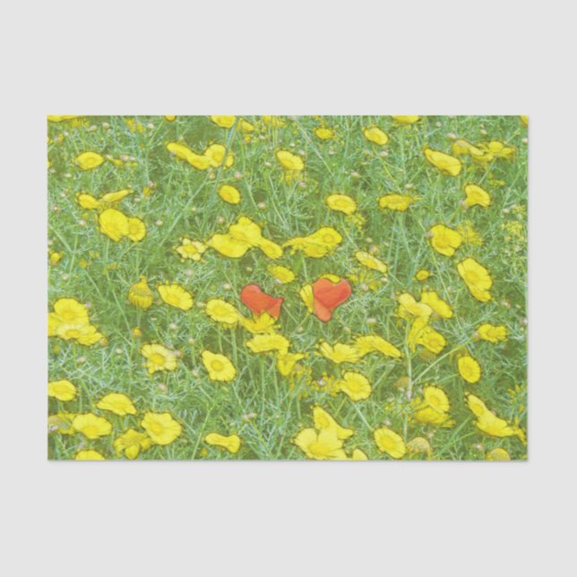 Papel De Seda Papas acuáticas (Anverso)