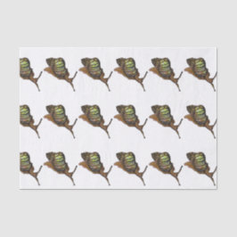 Papel De Seda papel seda del caracol