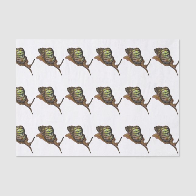 Papel De Seda papel seda del caracol (Anverso)