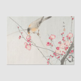 Papel De Seda Papel seda del pájaro