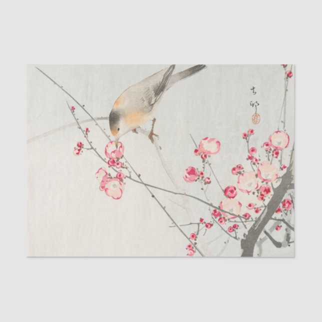 Papel De Seda Papel seda del pájaro (Anverso)