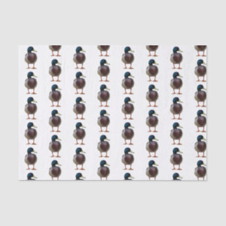 Papel De Seda Papel seda del pato del pato silvestre