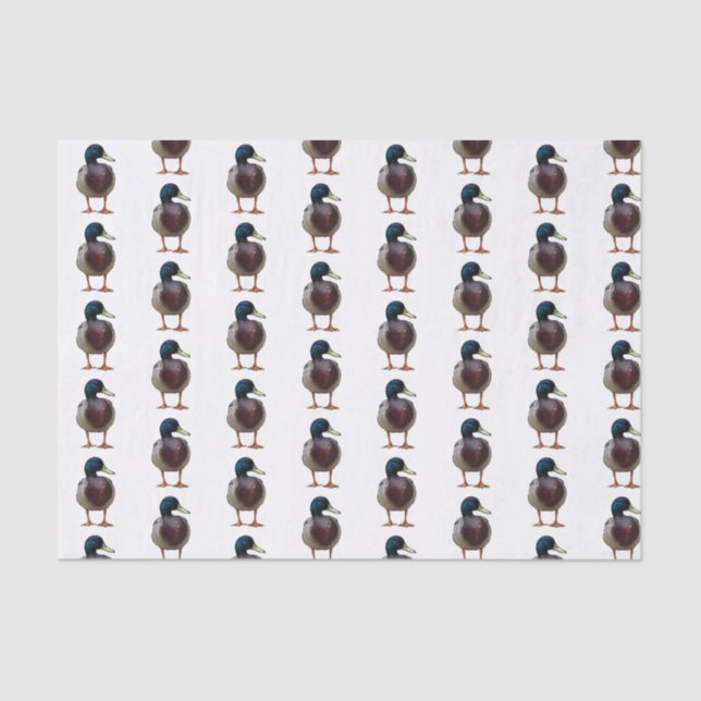 Papel De Seda Papel seda del pato del pato silvestre (Anverso)
