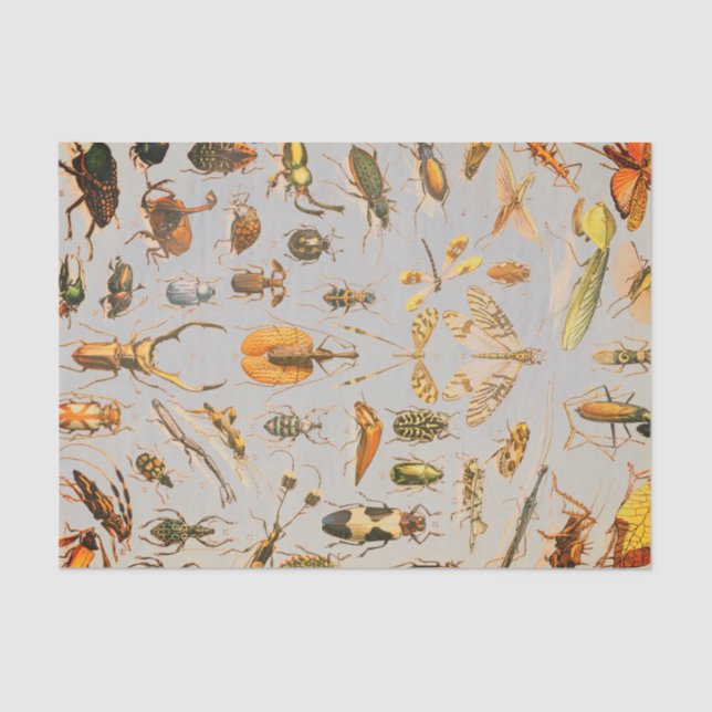 Papel De Seda Papel seda MUY FRESCO del INSECTO (Anverso)