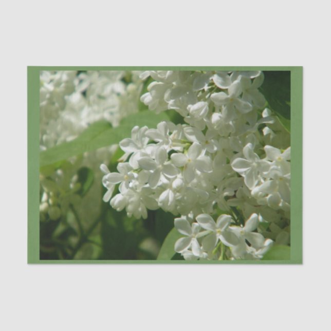 Papel De Seda Papel seda para usted regalo especial (Anverso)