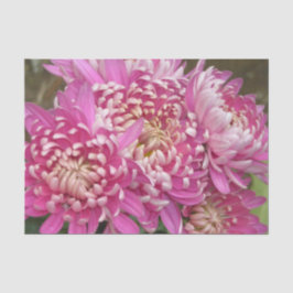 Papel De Seda Papel seda rosado bonito