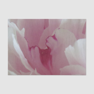 Papel De Seda Papel seda rosado del flor