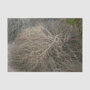 Papel De Seda Papel seda rústico del Tumbleweed