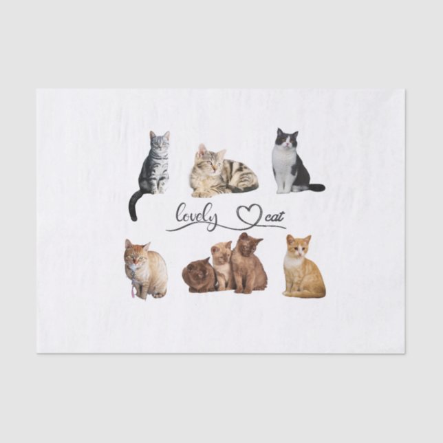 Papel De Seda paquete de gatos, paquete de gatos divertidos (Anverso)