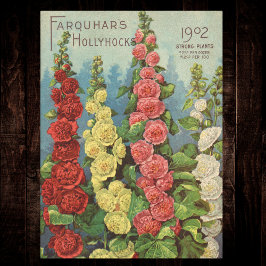Papel De Seda Paquete de Semillas Rojo Naranja 1902 Hollyhocks V