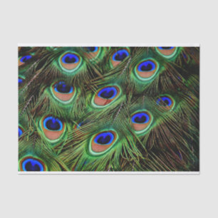 Papel de seda para decoupage de plumas de pavo rea