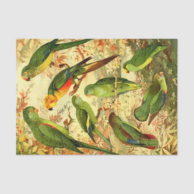 Papel De Seda Paracaídas (Anverso)