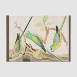 Papel De Seda Paracaídas turquesa