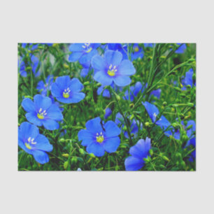 Papel De Seda Parche de Blue Flax Linum Flowers-TISSUE WRAP PAPE