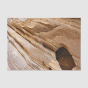 Papel De Seda Pared del cañón de Zion Resumen de fotografía de l