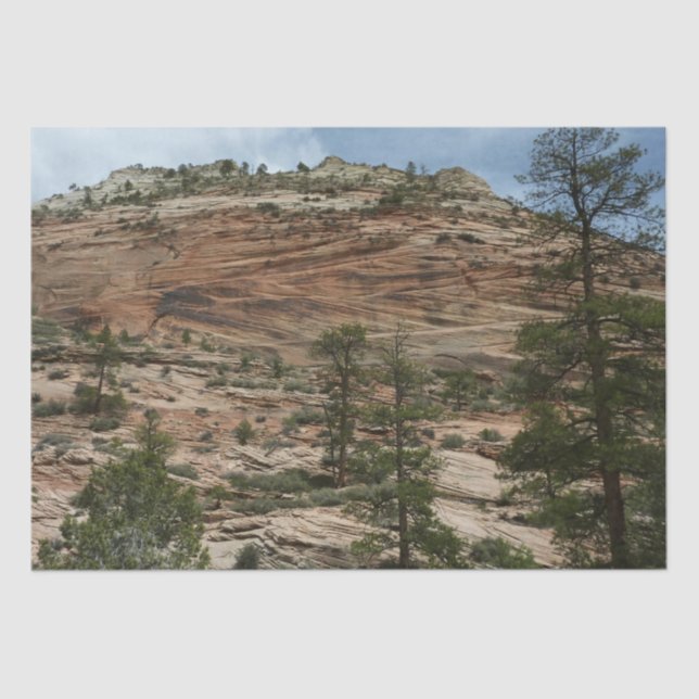 Papel De Seda Paredes de rock en el Parque Nacional de Zion (Anverso)