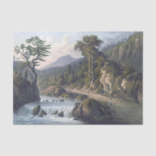 Papel De Seda Parroquia de Jamaica Rio Cobre St Thomas