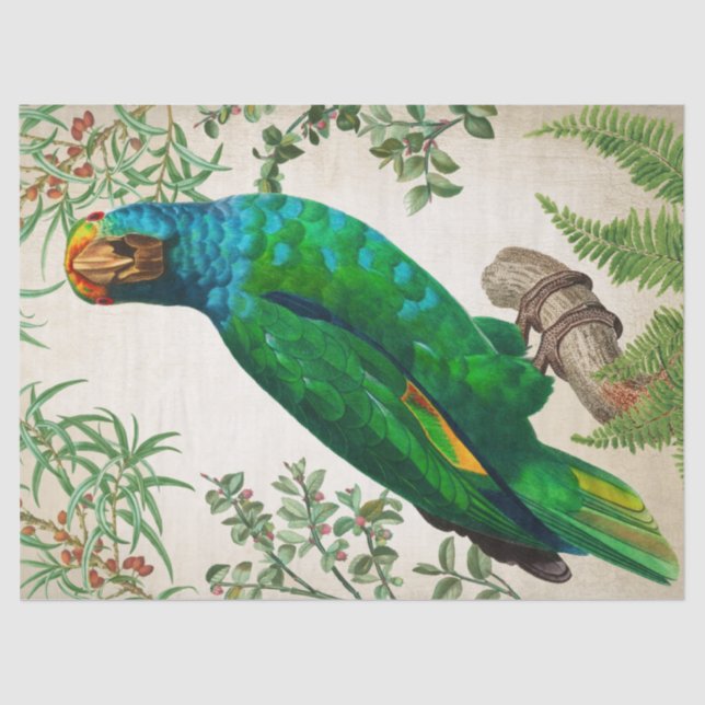 Papel De Seda Parrot Vintage Art (Anverso)