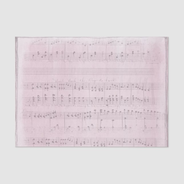 Papel De Seda Partituras sobre un fondo rosa suave (Anverso)