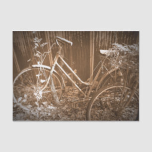 Papel De Seda Paseo olvidado