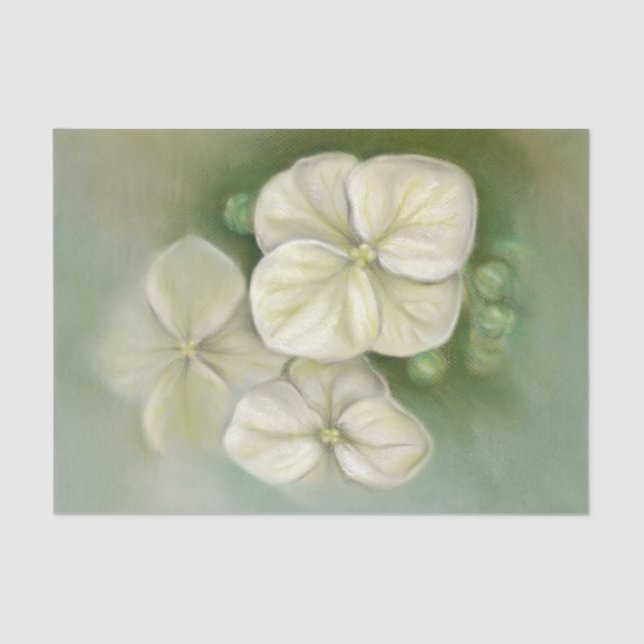 Papel De Seda Pastel blanco crema suave Hydrangea Floral (Anverso)