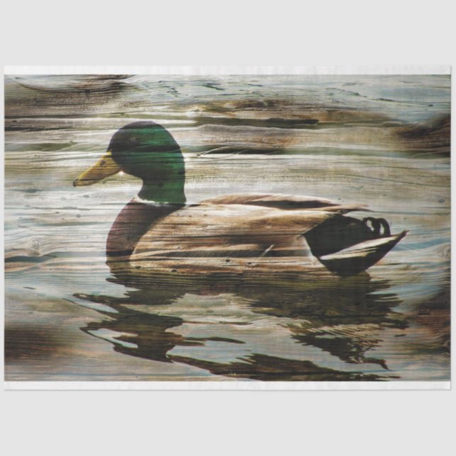 Papel De Seda Pato (Anverso)