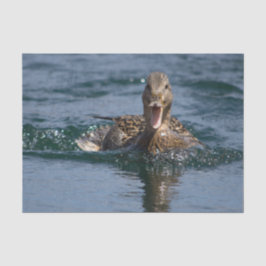 Papel De Seda Pato abierto con pico