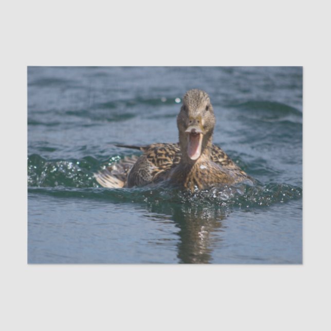 Papel De Seda Pato abierto con pico (Anverso)