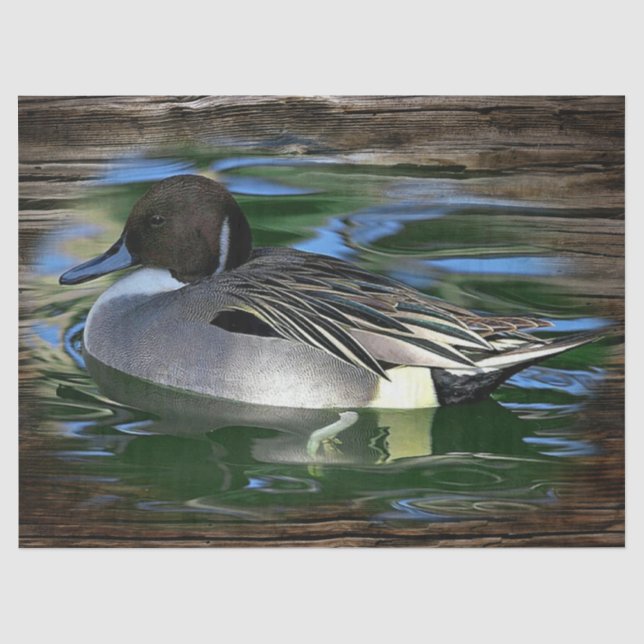 Papel De Seda Pato En El Lago (Anverso)