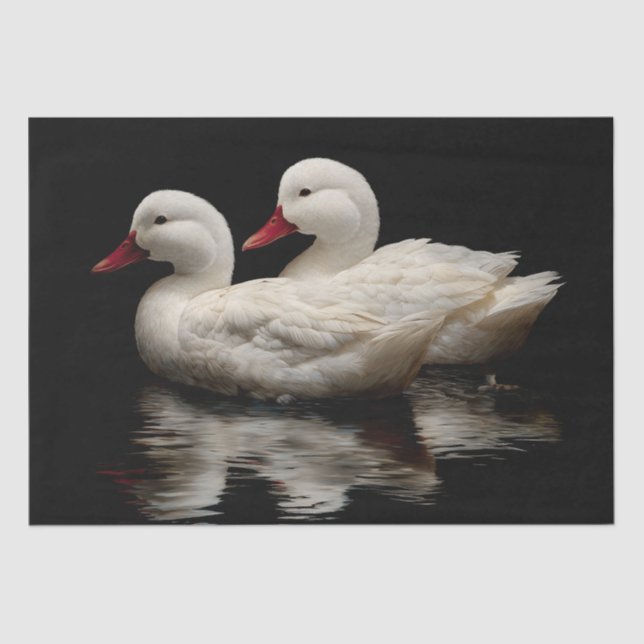 Papel De Seda Patos (Anverso)