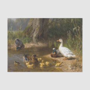 Papel De Seda Patos en el agua por Carl Jutz