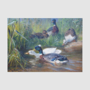 Papel De Seda Patos en el estanque de Carl Jutz