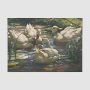 Papel De Seda Patos en el estanque del bosque de Alexander Koest