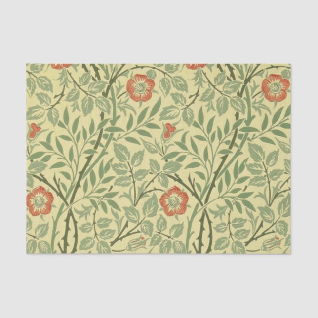 Papel De Seda Patrón Briar dulce (por William Morris) (Anverso)