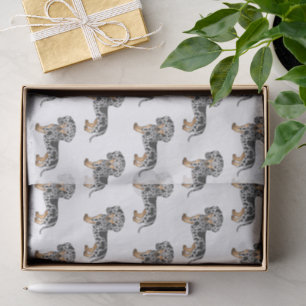 Papel De Seda Patrón Dachshund De Pelo Corto Negro Y Tan Dapple
