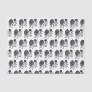 Papel De Seda Patrón Dahlia blanco y negro