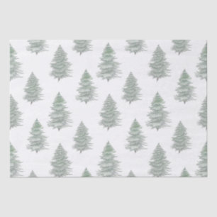 Papel De Seda Patrón de árbol evergreen dibujado a mano