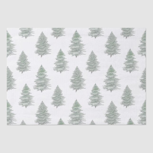 Papel De Seda Patrón de árbol evergreen dibujado a mano (Anverso)