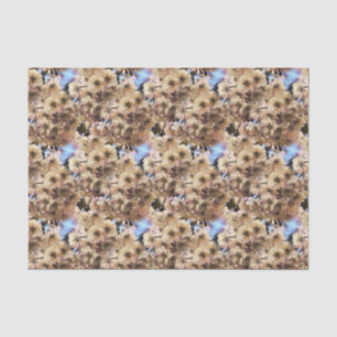 Papel De Seda Patrón de arte de la naturaleza de las flores de p