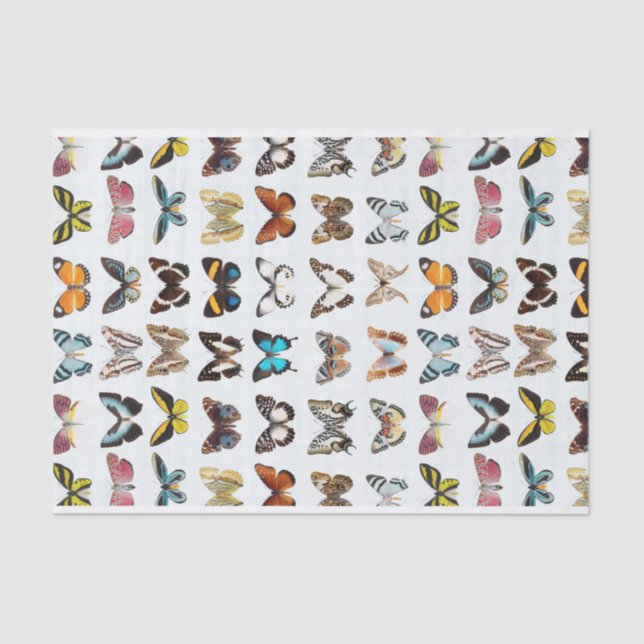 Papel De Seda Patrón de bonito de mariposas (Anverso)