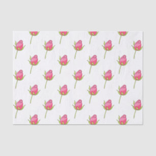 Papel De Seda Patrón de capullo de rosa acuarela rosa